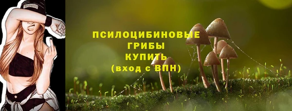 a pvp Алексеевка