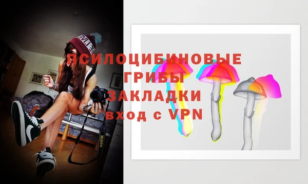 мдпв Покровск