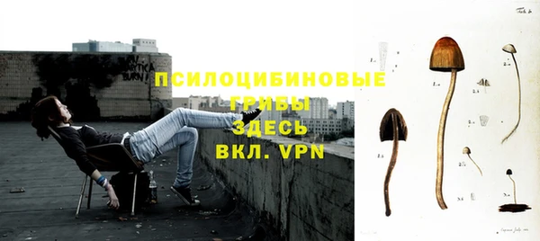 a pvp Алексеевка