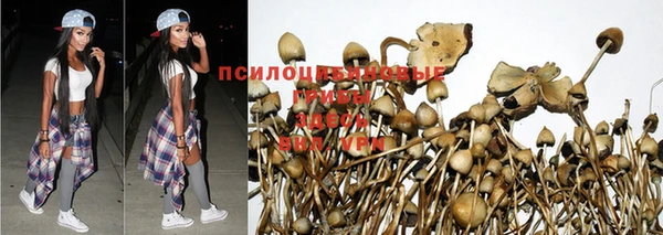 спиды Покачи