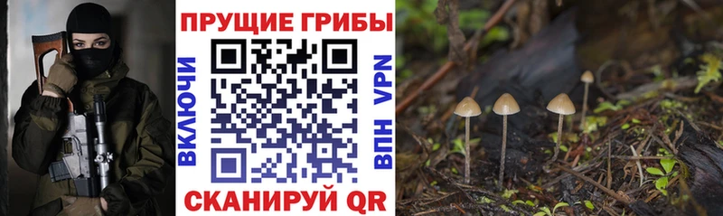 ОМГ ОМГ ссылки  Нюрба  Псилоцибиновые грибы Psilocybe  купить наркотики цена 