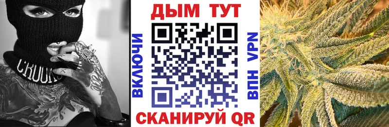 Каннабис конопля  купить закладку  Нюрба 